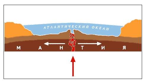 СОХ